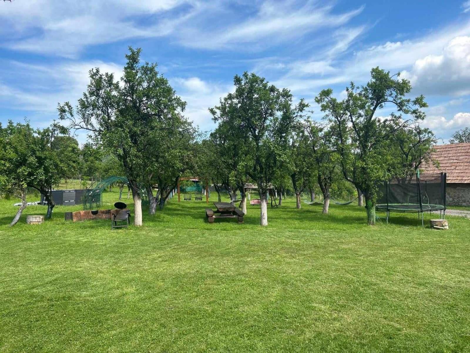 Agropensiunea Darden Baia de Fier Zewnętrze zdjęcie